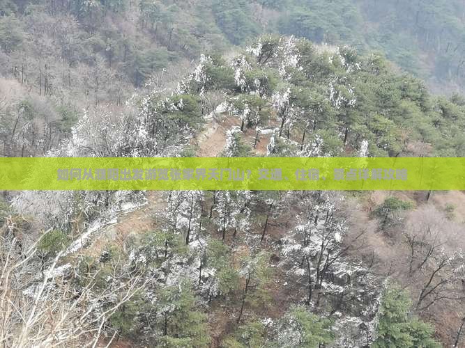 如何从濮阳出发游览张家界天门山？交通、住宿、景点详解攻略