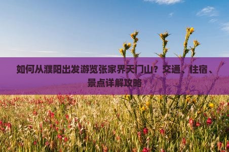 如何从濮阳出发游览张家界天门山？交通、住宿、景点详解攻略