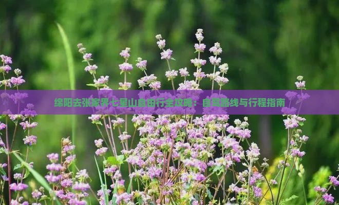 绵阳去张家界七星山自由行全攻略：自驾路线与行程指南