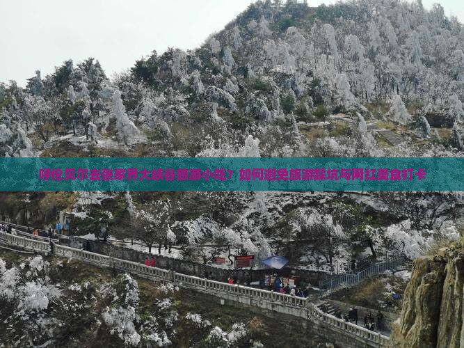 呼伦贝尔去张家界大峡谷旅游小吃？如何避免旅游踩坑与网红美食打卡