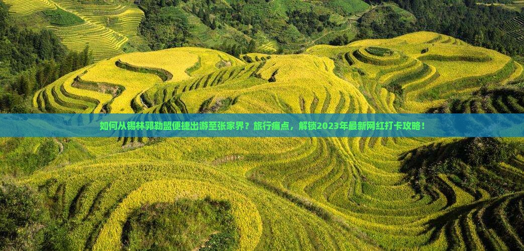 如何从锡林郭勒盟便捷出游至张家界？旅行痛点，解锁2023年最新网红打卡攻略！