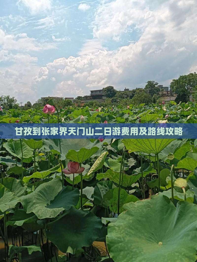 甘孜到张家界天门山二日游费用及路线攻略