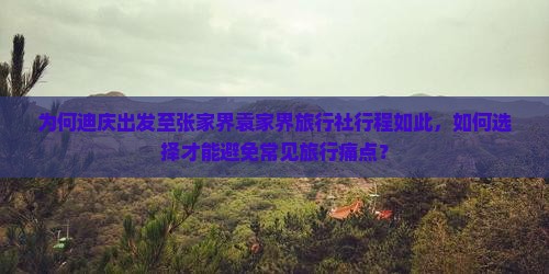 为何迪庆出发至张家界袁家界旅行社行程如此，如何选择才能避免常见旅行痛点？