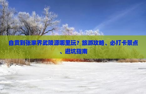 自贡到张家界武陵源哪里玩？旅游攻略、必打卡景点、避坑指南