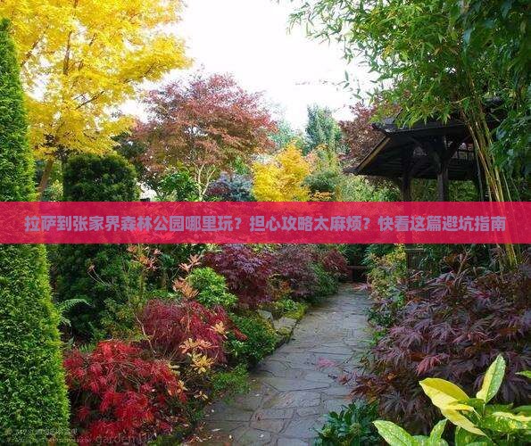 拉萨到张家界森林公园哪里玩？担心攻略太麻烦？快看这篇避坑指南