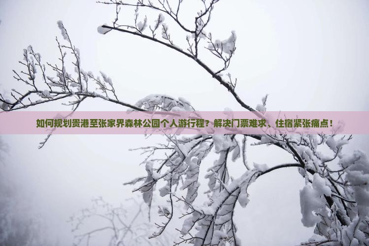 如何规划贵港至张家界森林公园个人游行程？解决门票难求、住宿紧张痛点！