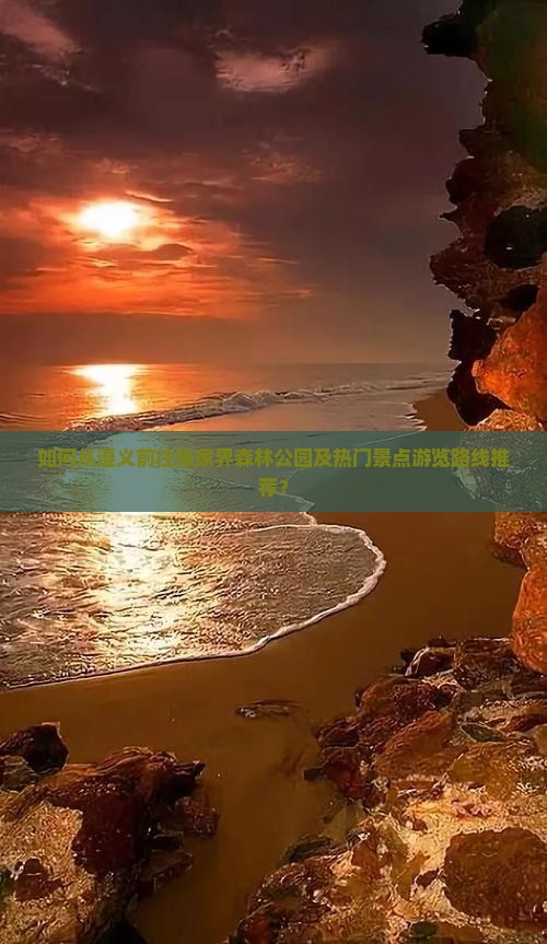 如何从遵义前往张家界森林公园及热门景点游览路线推荐？