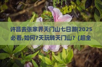 许昌去张家界天门山七日游