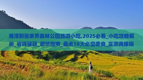 湘潭到张家界森林公园旅游小吃