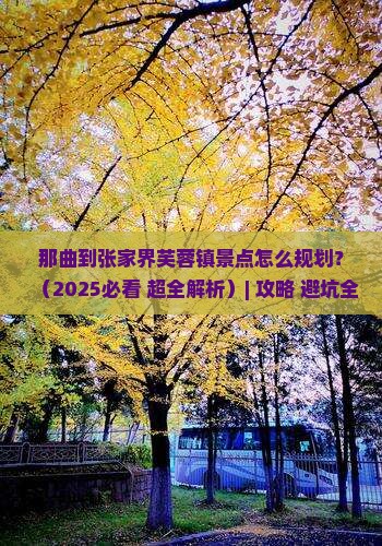 那曲到张家界芙蓉镇景点