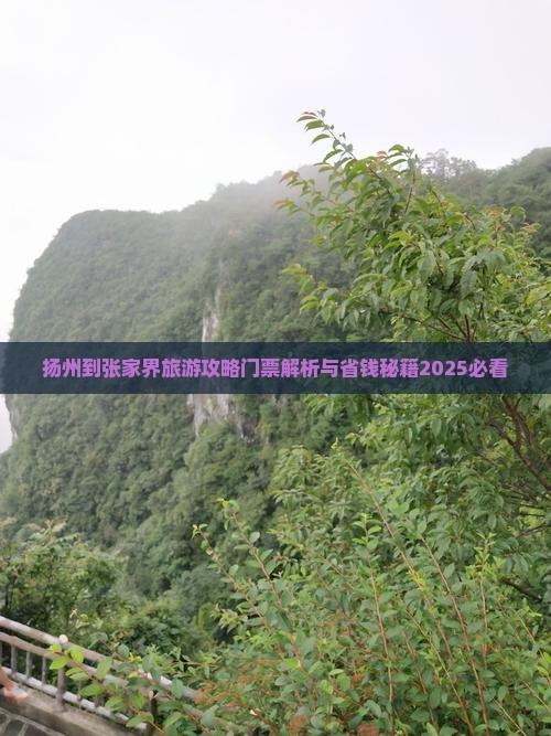 扬州到张家界袁家界门票
