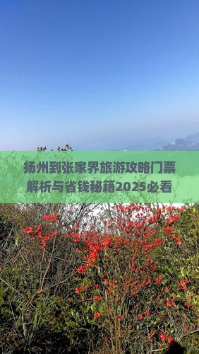 扬州到张家界袁家界门票