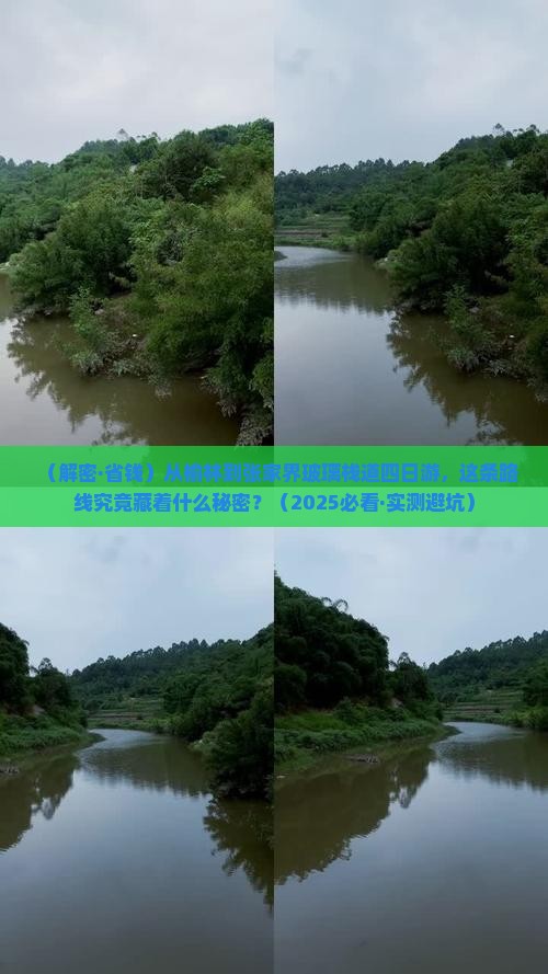 榆林到张家界玻璃栈道四日游