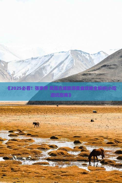 鹰潭到张家界凤凰古城旅游小吃