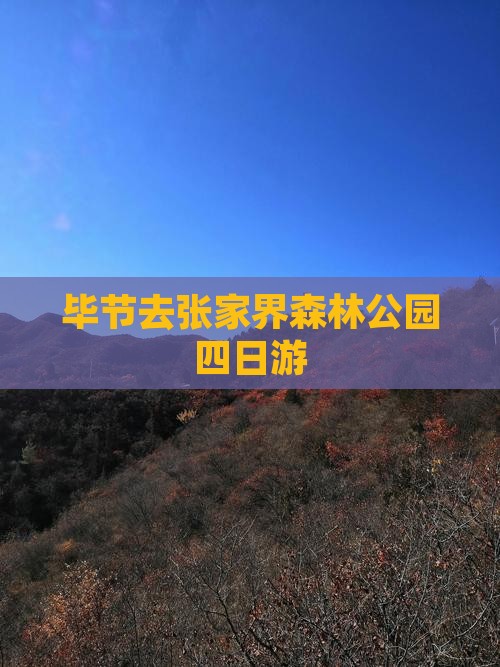 毕节去张家界森林公园四日游