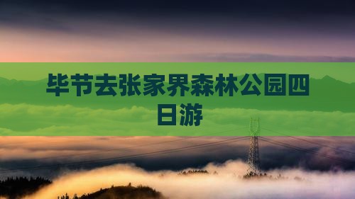 毕节去张家界森林公园四日游