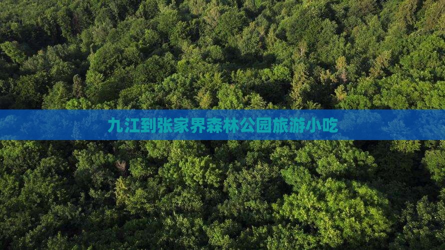 九江到张家界森林公园旅游小吃