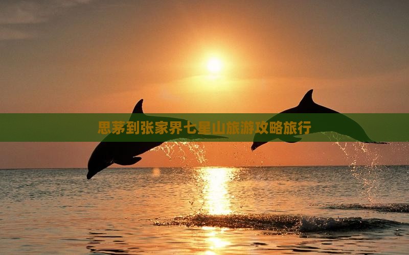 思茅到张家界七星山旅行社