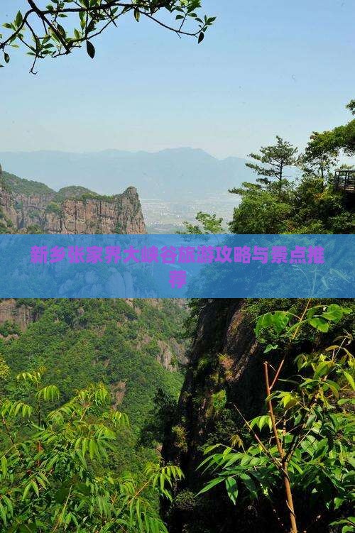 新乡去张家界大峡谷自由团