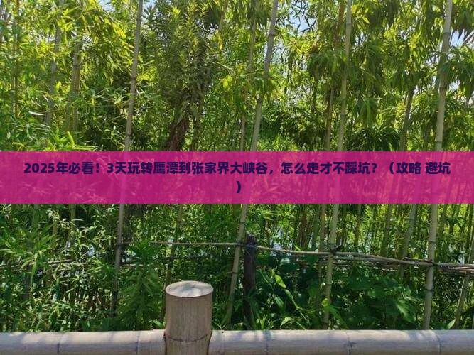 鹰潭到张家界大峡谷攻略
