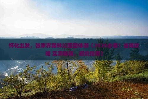 怀化去张家界森林公园团体旅游