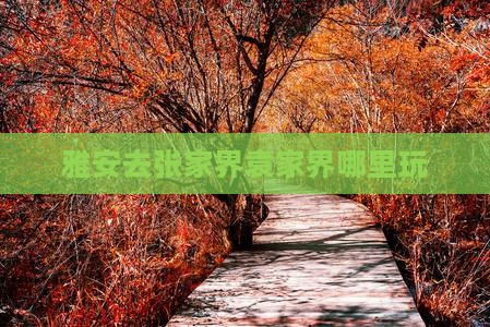 雅安去张家界袁家界哪里玩