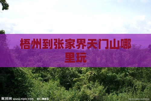 梧州到张家界天门山哪里玩