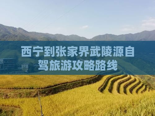 西宁到张家界武陵源一日