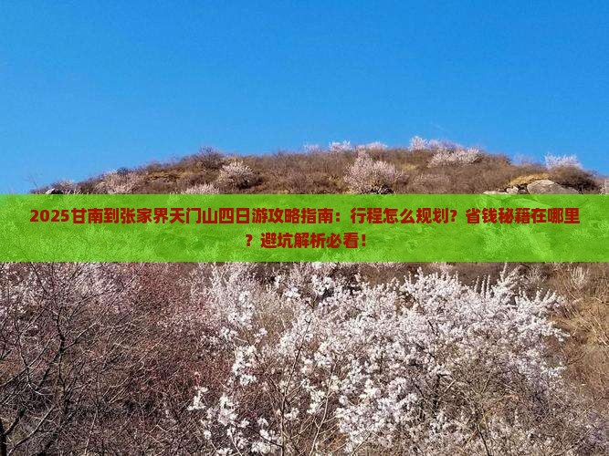 甘南到张家界天门山四日游