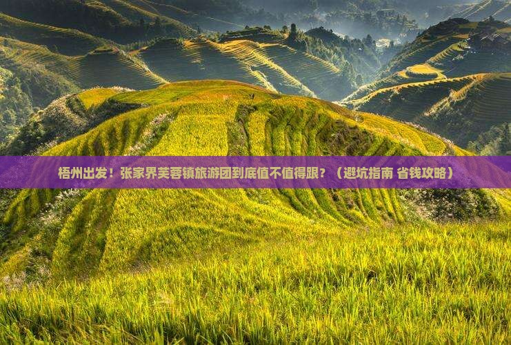 梧州到张家界芙蓉镇大型旅游团