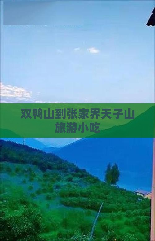 双鸭山到张家界天子山旅游小吃