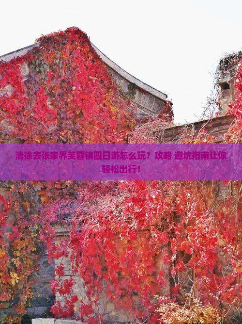 清徐去张家界芙蓉镇四日游