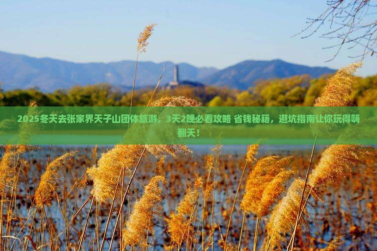 冬天去张家界天子山团体旅游