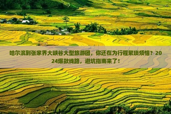 哈尔滨到张家界大峡谷大型旅游团