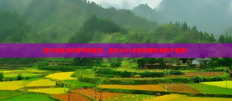 新乡去张家界武陵源旅行社