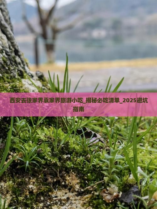 西安去张家界袁家界旅游小吃