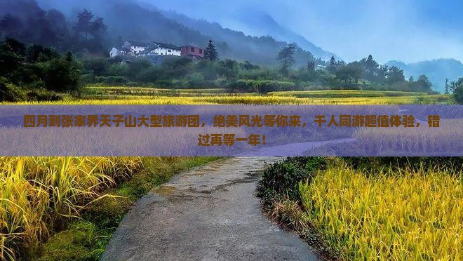 四月到张家界天子山大型旅游团