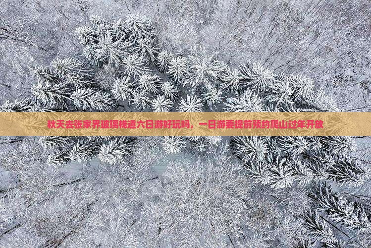 秋天去张家界玻璃栈道六日游