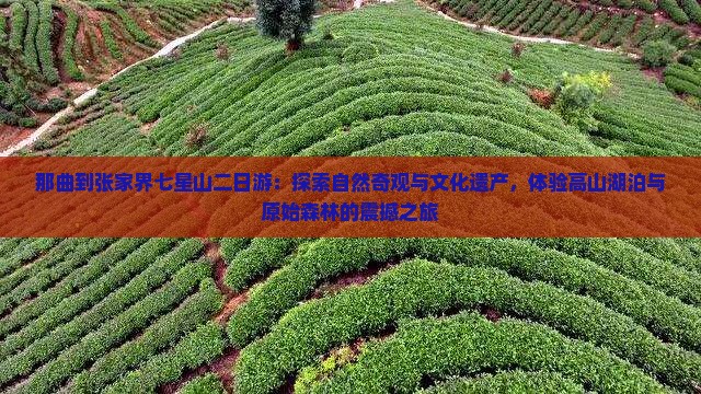 那曲到张家界七星山二日游