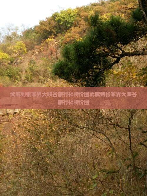 武威到张家界大峡谷旅行社 武威到张家界大峡谷旅行社