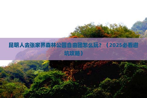 昆明去张家界森林公园自由团