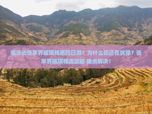 临沂去张家界玻璃栈道四日游