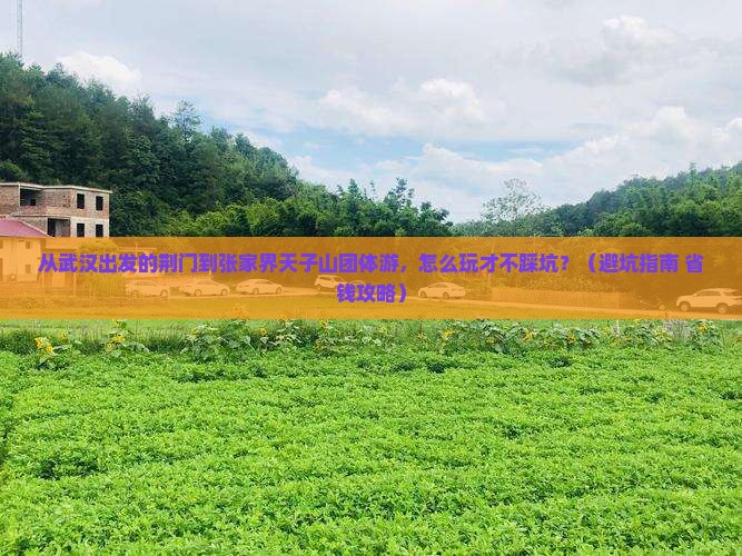 荆门到张家界天子山团体旅游