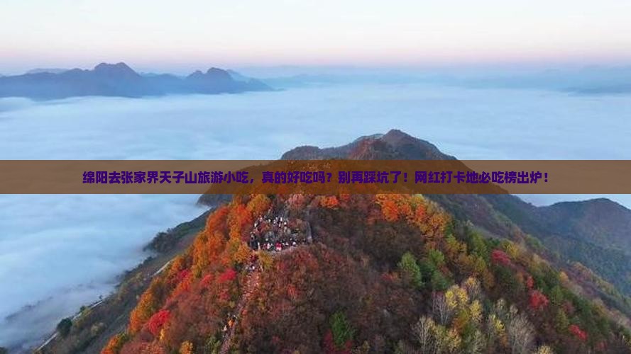 绵阳去张家界天子山旅游小吃 绵阳去张家界天子山旅游小吃