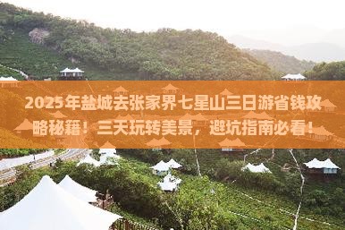盐城去张家界七星山三日游