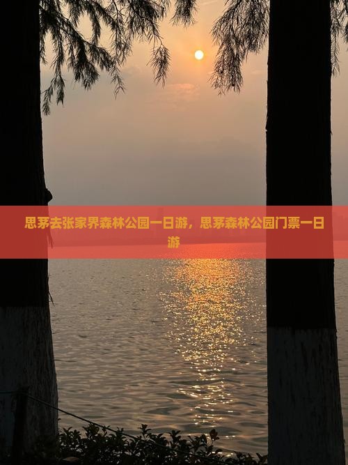 思茅去张家界森林公园一日
