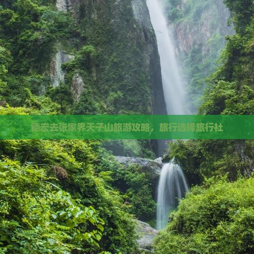 德宏去张家界天子山旅行社