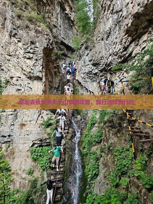 德宏去张家界天子山旅行社