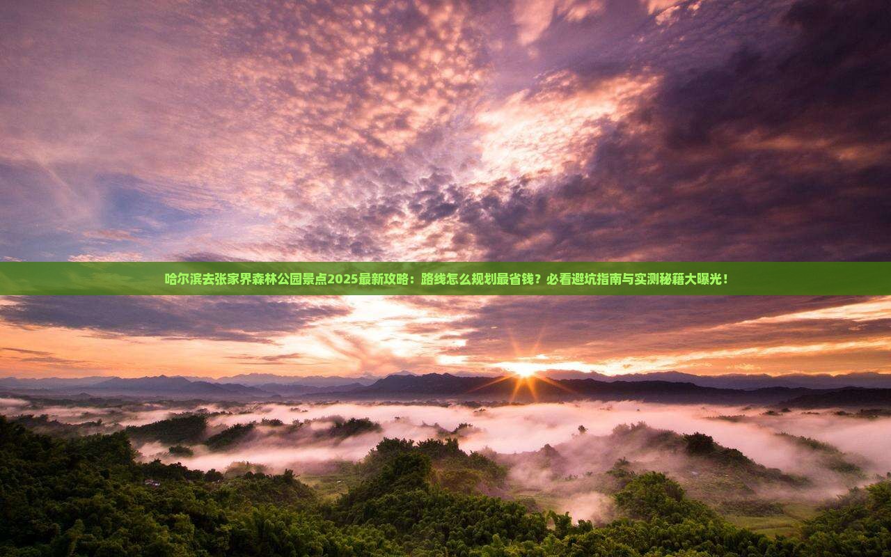 哈尔滨去张家界森林公园景点