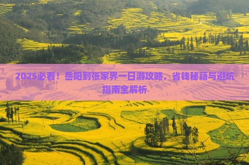 岳阳到张家界一日